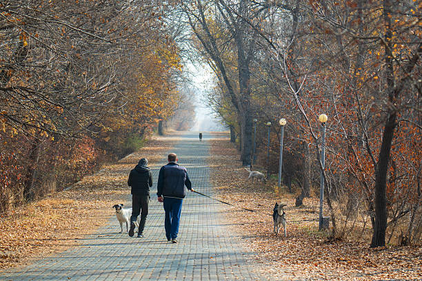 Yerevan Armenia 11.29.2025.  A two men are walking their dogs down a path