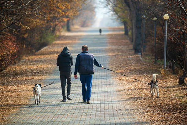 Yerevan Armenia 11.29.2025.  A two men are walking their dogs down a path