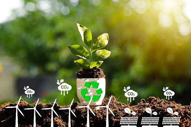 istock Green Seedling with Recycle Icon and Renewable Energy Graphics Showing CO2 Reduction and Sustainable Eco Concept 2249664201