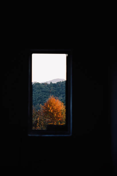 An old, weathered window frames a burst of autumn gold—time-worn walls meet the vivid hues of fall, a quiet dialogue between decay and beauty.