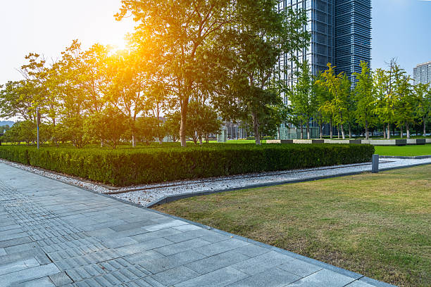 istock Green city park with office buildings 2249672755