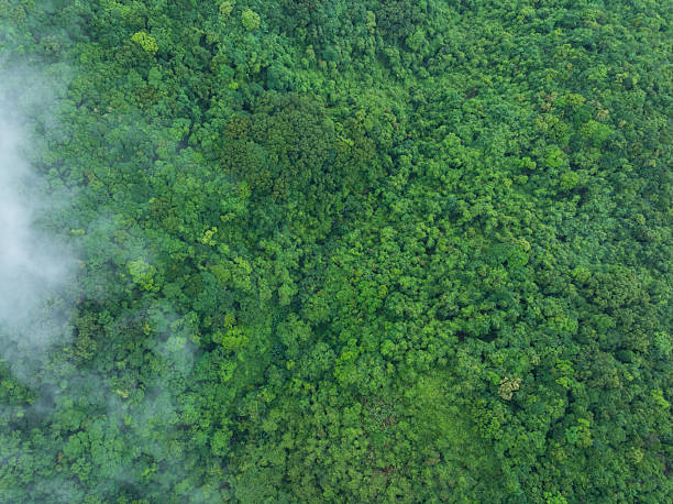 istock Aerial view of beautiful forest mountain landscape 2249673916