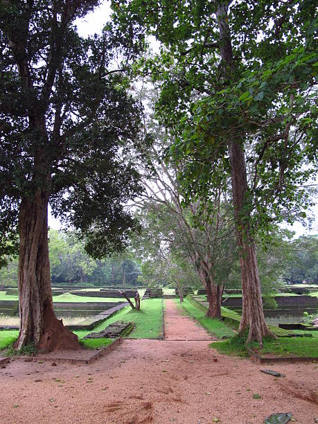 istock Ancient ruins of Sigiriya, Sri Lanka 2249675397