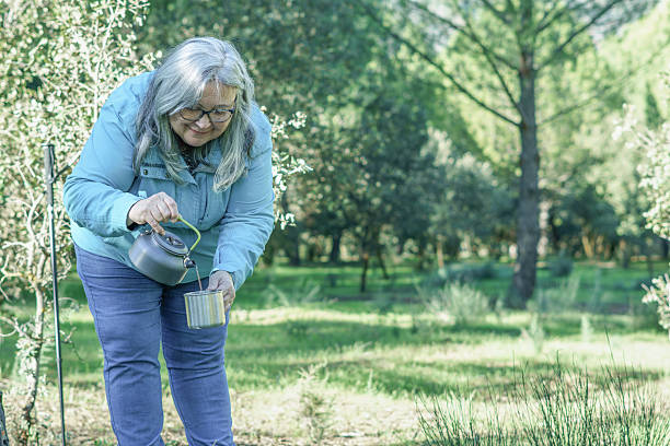 istock Senior woman enjoying camping pouring hot tea 2249675652