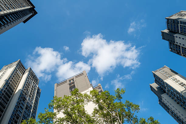 Looking up at modern residential buildings through the trees in Fujian Province, China ...