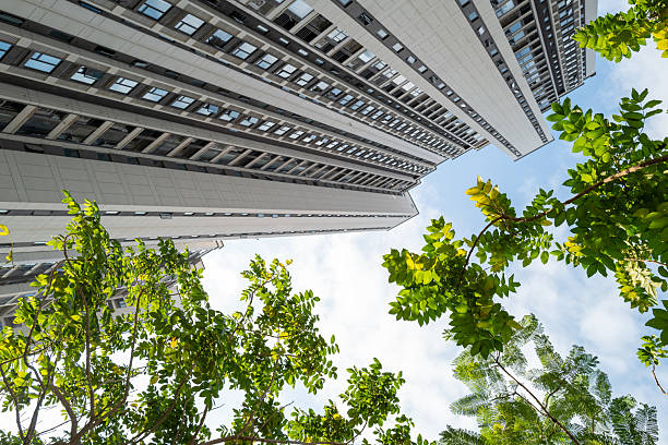 Looking up at modern residential buildings through the trees in Fujian Province, China ...