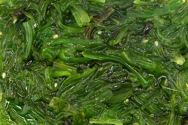istock Seaweed salad texture background. Green chuka seaweed salad 2249679701
