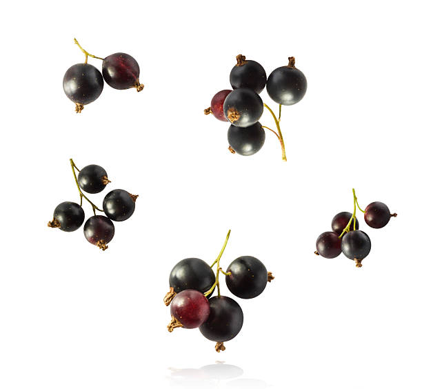 istock Fresh Ripe Black Currant berries falling in the air isolated on white background 2249682940