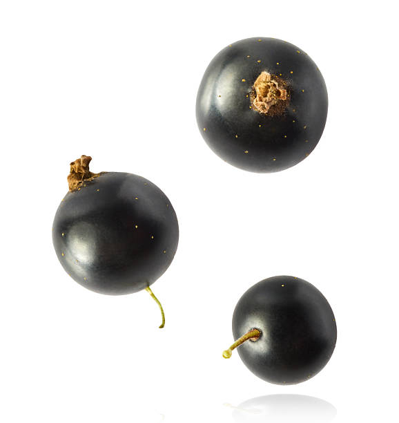 istock Fresh Ripe Black Currant berries falling in the air isolated on white background 2249683023