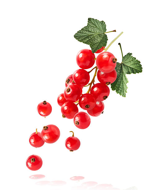 istock Fresh Ripe Red Currant berries falling in the air isolated on white background 2249684710