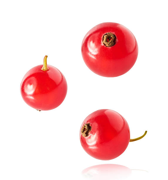 istock Fresh Ripe Red Currant berries falling in the air isolated on white background 2249684716