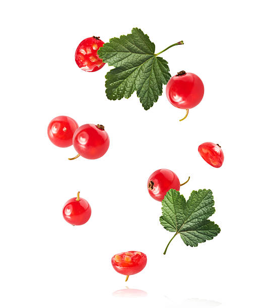 istock Fresh Ripe Red Currant berries falling in the air isolated on white background 2249684722