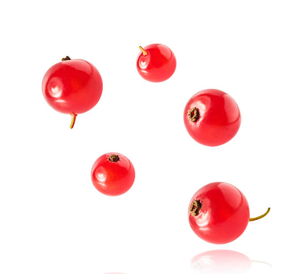 istock Fresh Ripe Red Currant berries falling in the air isolated on white background 2249684801