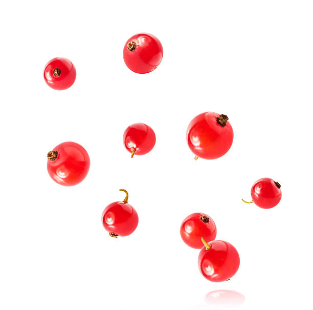 Fresh Ripe Red Currant berries falling in the air isolated on white background