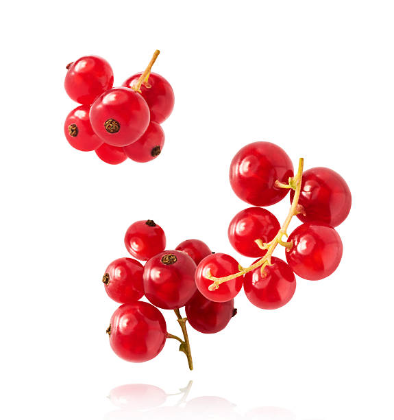 istock Fresh Ripe Red Currant berries falling in the air isolated on white background 2249684830