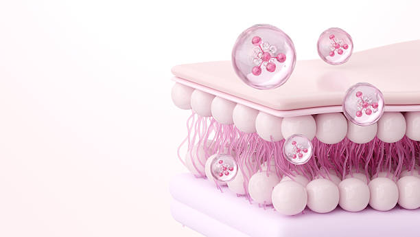 istock Pink Collagen Peptide Molecule Absorption into Skin Layer with Fibers, 3D Illustration 2249689669