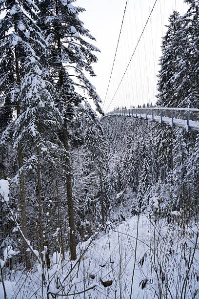istock Suspension bridge runs above the Black forest (Schwarzwald), Germany 2249690272