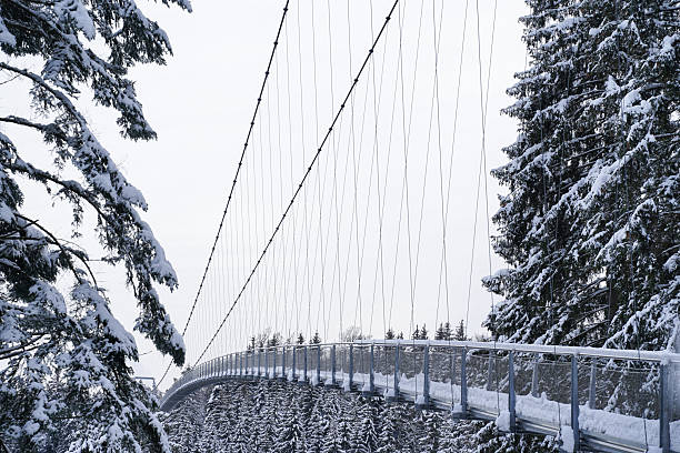 View of the Wildline Suspension Bridge above the Black forest, Bad Wildbad, Germany. Snowy wonderland, winter fir trees under heavy snow coat. Fairy tale and calm atmosphere