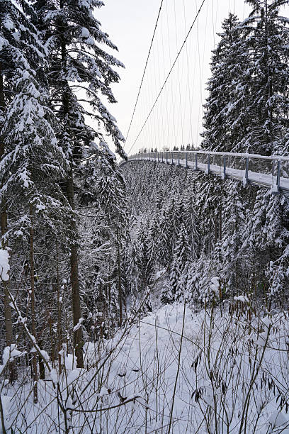 istock Suspension bridge runs above the covered with snow Black forest (Schwarzwald), Germany 2249690287