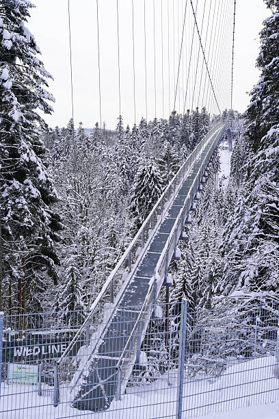 Winter view of the Wildline Suspension Bridge above the Black Forest in Bad Wildbad, Germany. Snow-covered fir trees and a calm winter landscape create a serene, almost fairy-tale atmosphere.