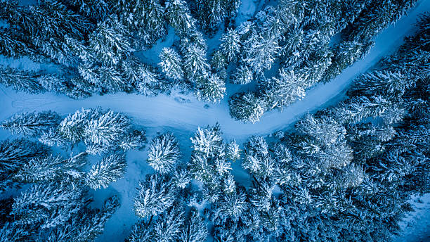 istock Aerial view of a snow-covered forest 2249696496