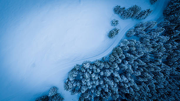 istock Aerial view of a snow-covered forest 2249696519
