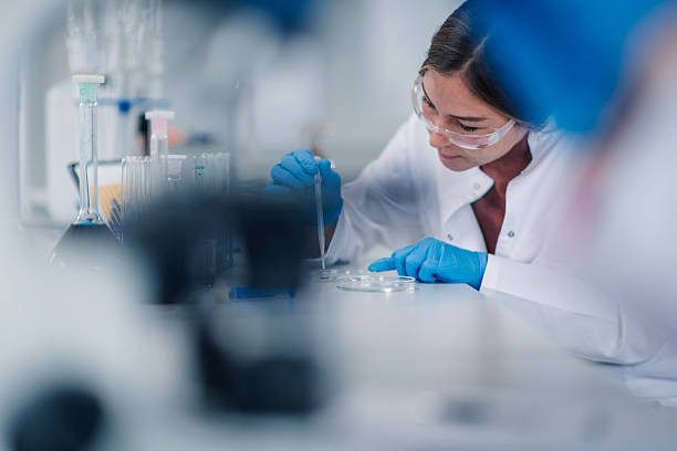 istock Female scientist working with pipette on petri dishes in laboratory 2249698250
