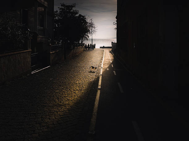 A stray cat walks across a narrow cobblestone street leading to the sea, illuminated by dramatic golden hour sunlight and long shadows.