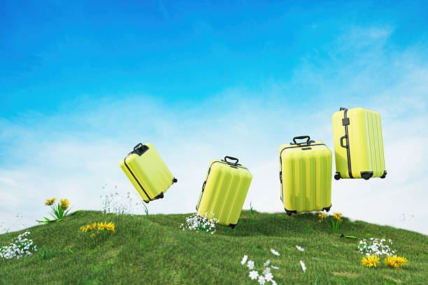 Yellow Suitcases Flying Over Green Grassy Hill and Blue Sky. 3D Render