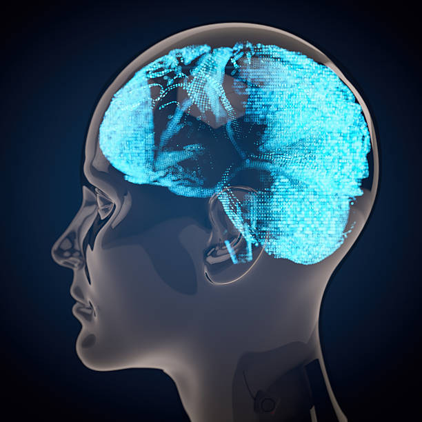 istock Artificial Intelligence Concept Showing Digital Brain in a Glass Head 2249701804