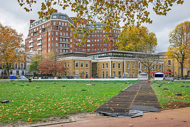 Cheltenham Terrace, London, England, United Kingdom, Europe - November 6th 2025: Classic architecture of residential buildings in an affluent part of London.
