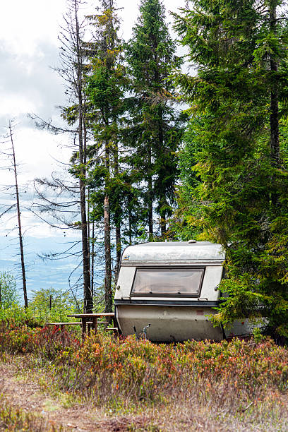 Abandoned camper in a forest clearing surrounded by tall pines and mountain view