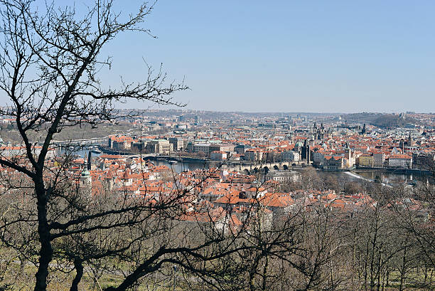 istock View of Prague through a bare tree vrom hillside 2249713709