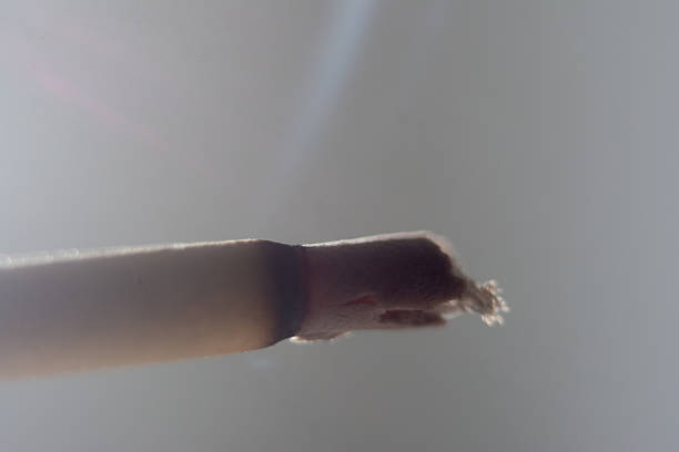 Macro photograph of incense with smoke.