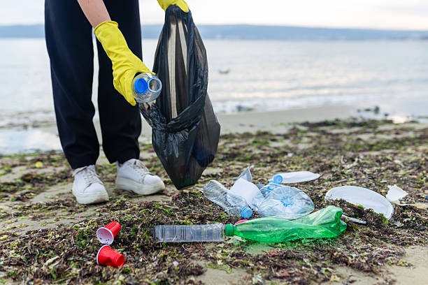 istock Volunteer collecting plastic waste during beach 2249722587