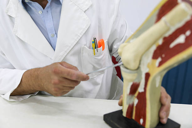 istock Teacher Showing Knee Anatomy To Students 2249722832