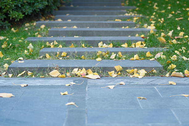Ginkgo leaves on the stone steps in autumn