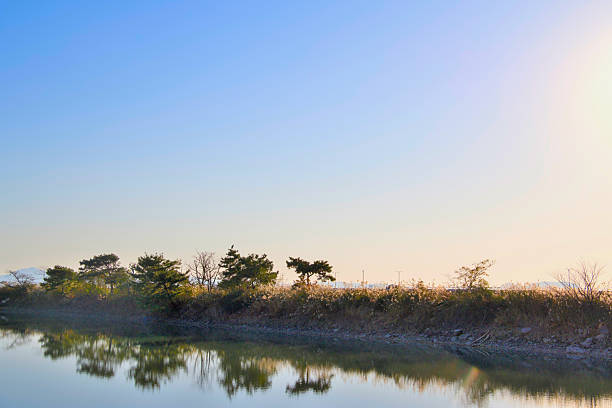 Blue skies, trees, and leaves reflected in the lake