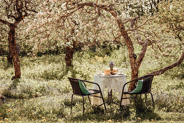 istock Springtime in home garden background. Table set with tea cups, boho reuse jar vase with forget me not flowers Myosotis arvensis and small stack of books under blooming apple trees. 2249727162