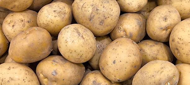 istock Potatoes are a crop that can produce a fast yield even in small areas. 2249729115