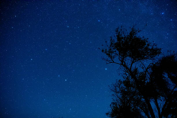 istock Milky Way stars and rural countryside tree silhouettes 2249734836