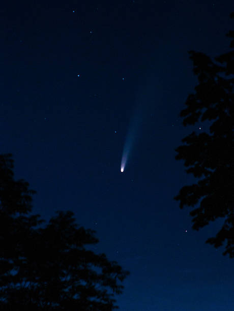 istock star seen clearly, spectacular celestial event observed through treetop opening during evening hours 2249735144