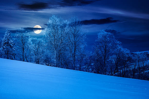 istock trees in hoarfrost on snow covered meadow at night 2249736589