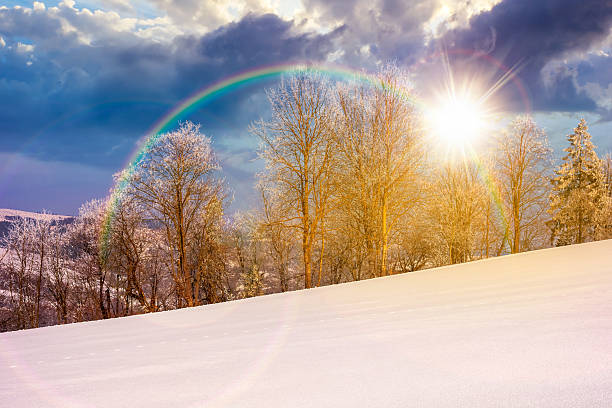 istock trees in hoarfrost on snow covered meadow at sunset 2249737716
