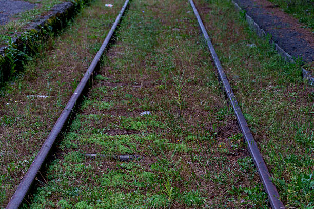 istock Overgrown abandoned railway tracks leading into the distance 2249740961