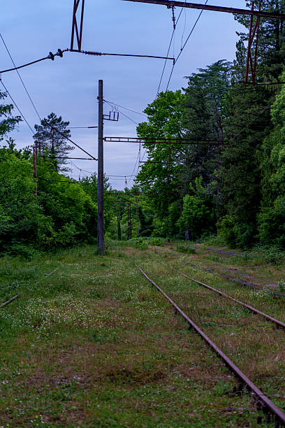 istock Disused electrified railway line disappearing into overgrown green forest 2249741014