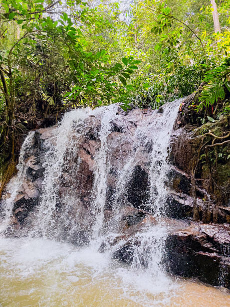 A tropical waterfall flowing over dark rocks in a lush green forest, creating a refreshing and peaceful nature scene. Ideal for themes of travel, landscape, nature, eco-tourism, and outdoor adventure.