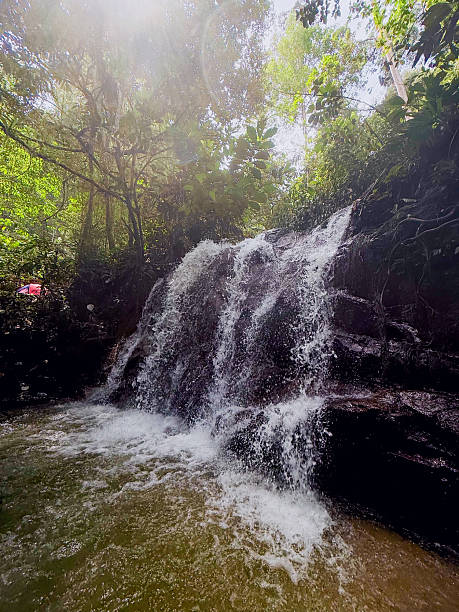 A tropical waterfall flowing over dark rocks in a lush green forest, creating a refreshing and peaceful nature scene. Ideal for themes of travel, landscape, nature, eco-tourism, and outdoor adventure.