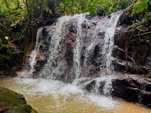 istock A tropical waterfall flowing over dark rocks in a lush green forest, creating a refreshing and peaceful nature scene. Ideal for themes of travel, landscape, nature, eco-tourism, and outdoor adventure. 2249741233