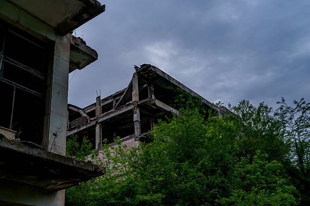 istock Crumbling concrete ruin rising above dense green forest canopy 2249741357